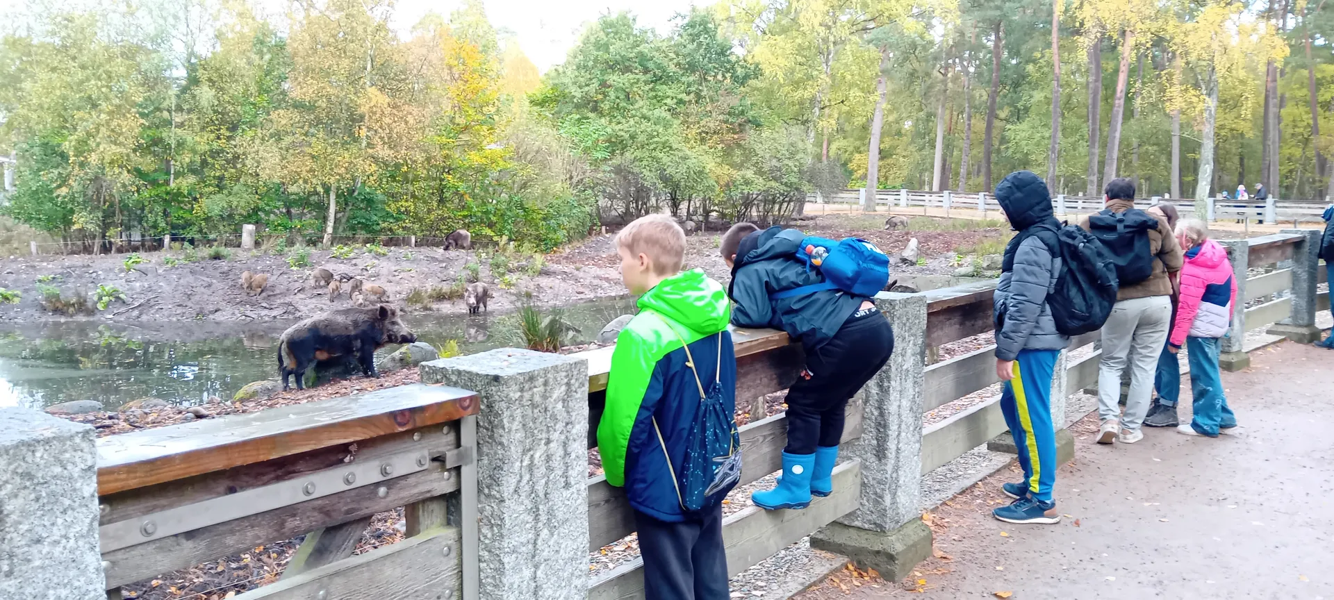Kindergruppe schaut bei einem Ausflug über einen Holzzaun auf ein Tiergehege